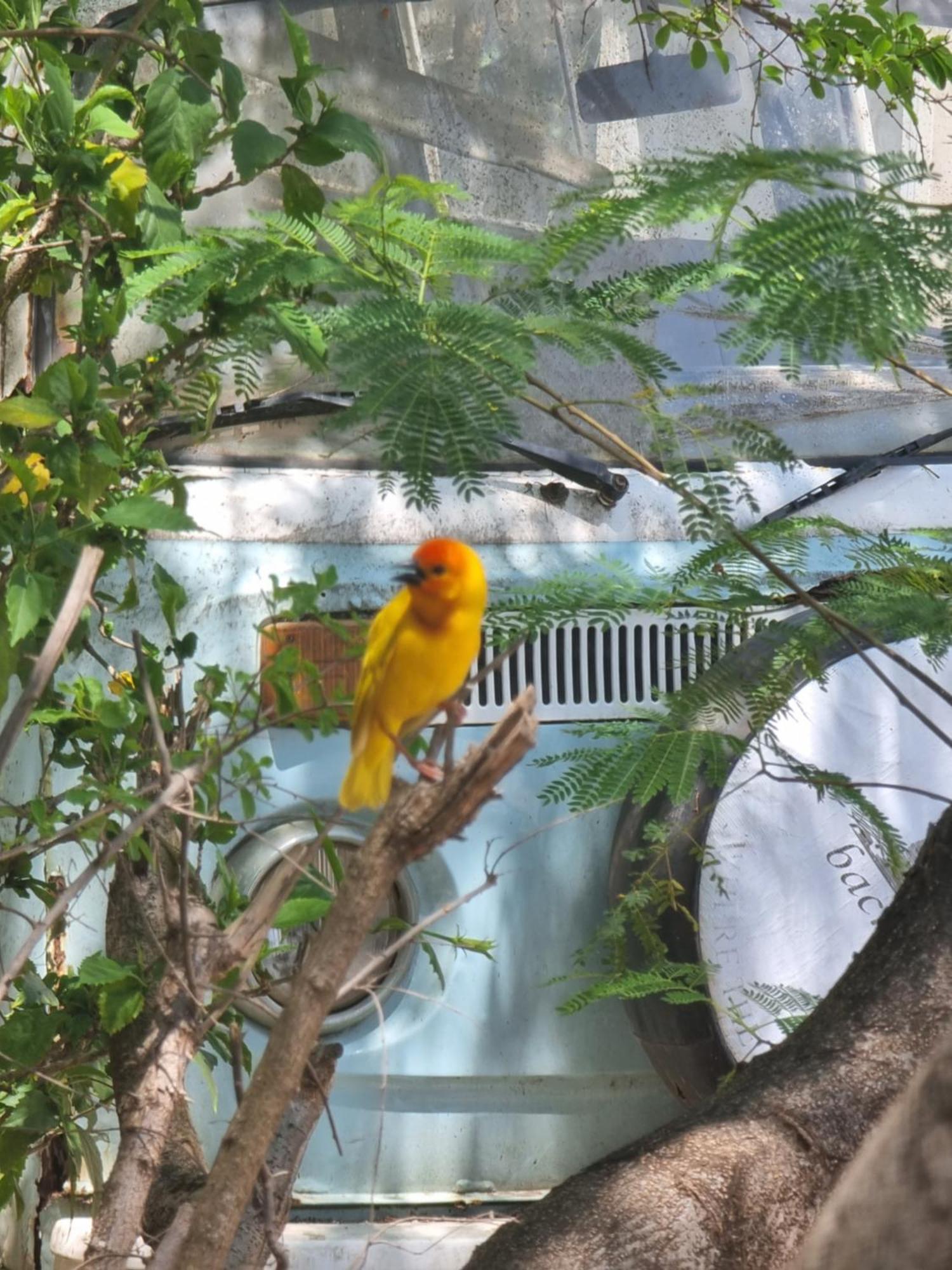 Tulia House Backpackers Hostel Mombasa Ngoại thất bức ảnh